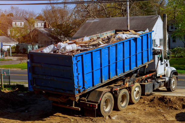 Best Yard Waste Removal  in Albany, IN
